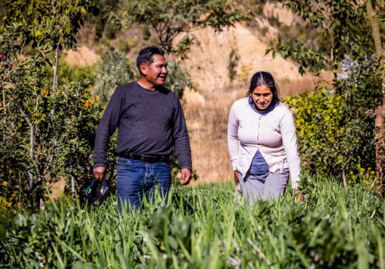 Agriculture and nature in balance: this project hero makes it work in Bolivia