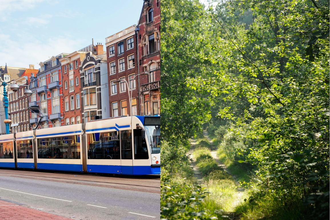 Door regio Amsterdam te vergroenen zorgen we voor meer ademruimte. Voor mens, dier en natuur! 