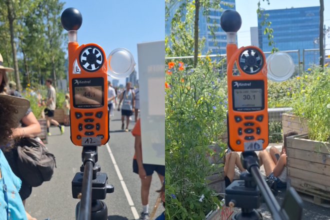 Amsterdam ringevent temperatuurverschil bomen
