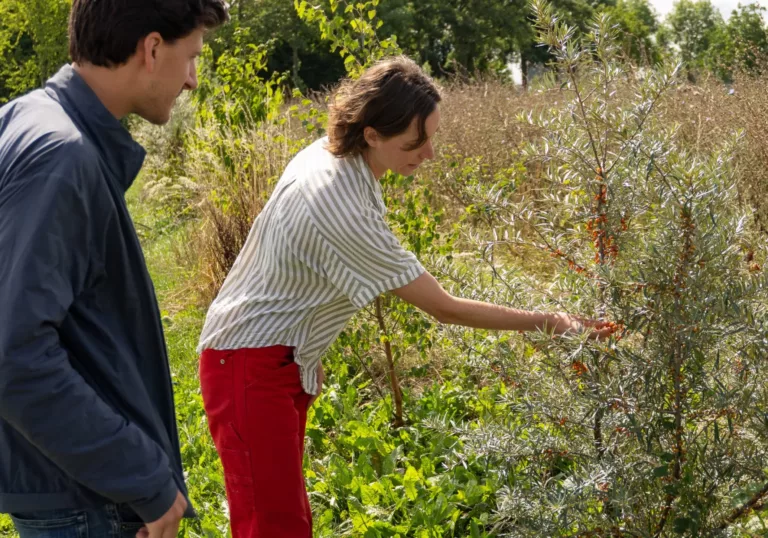 Voedselbos De Biesterhof versterkt de natuur: resultaten 2024-2025