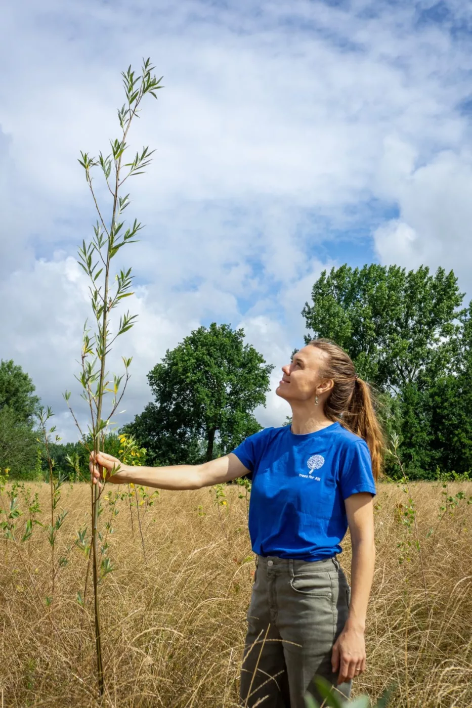 groene-woud-update-zomer-2025-5