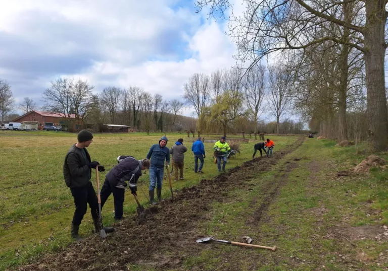 Van Zeeuwse hagen tot minibosjes: zo vergroenen we Zeeland
