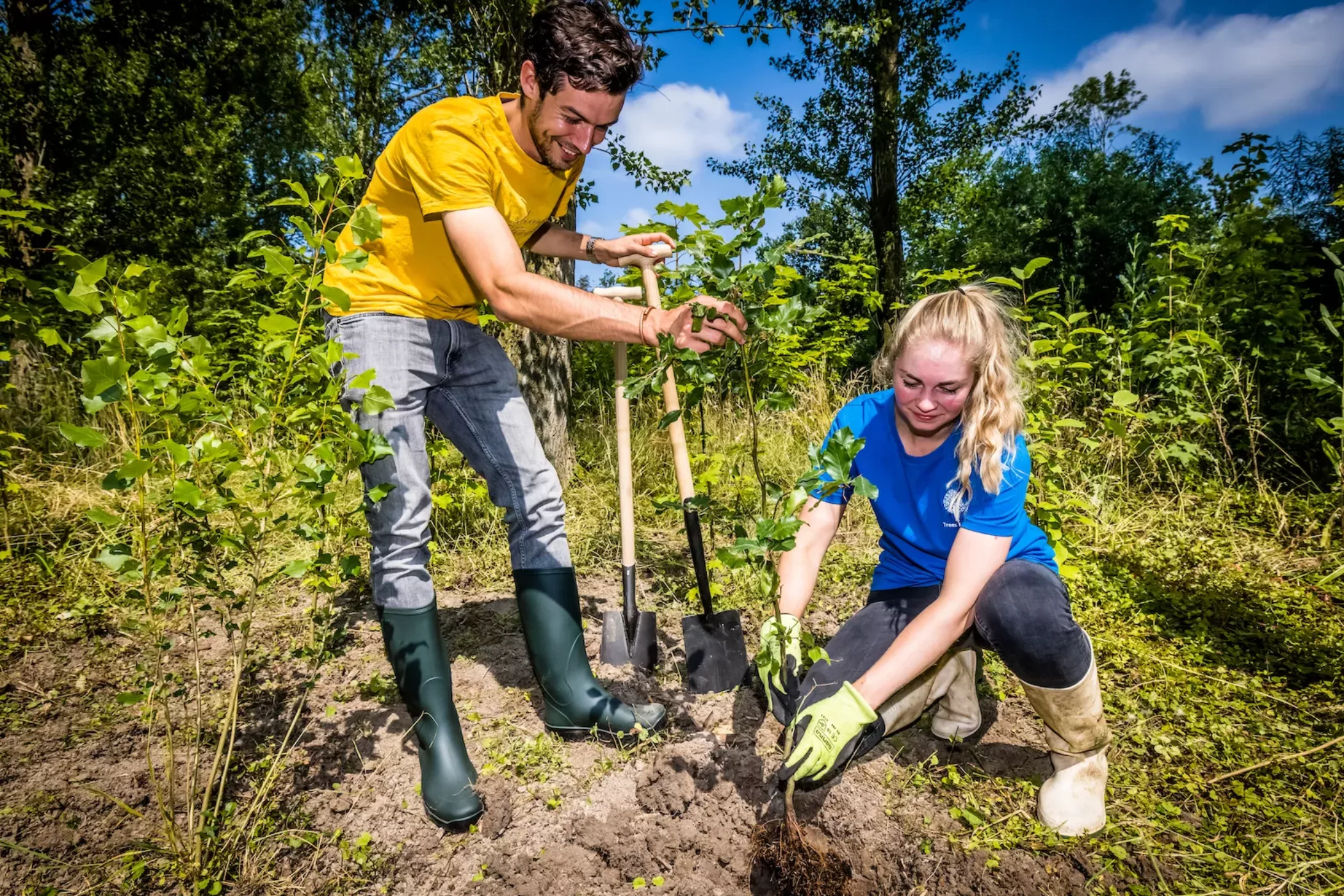 word-donateur-planten-groendoeners