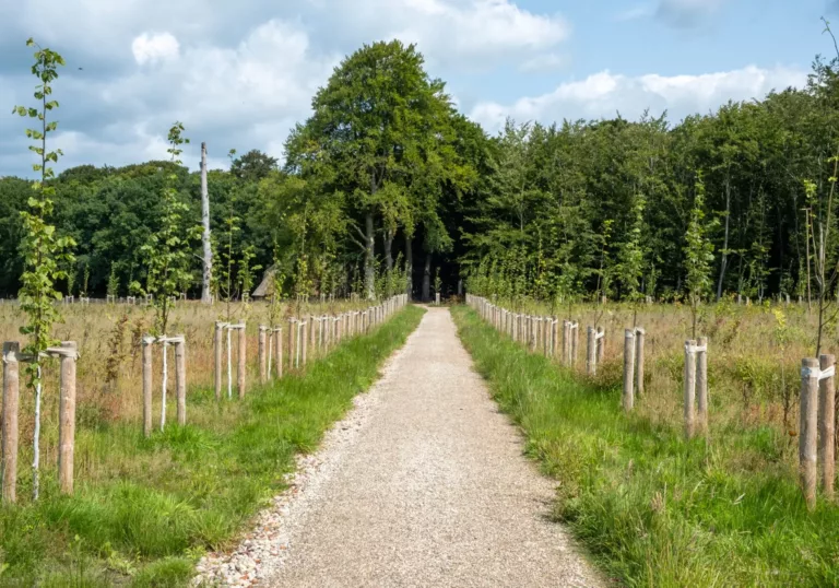 Sterrenbos in ere hersteld op Landgoed Zuylestein: resultaten 2024-2025