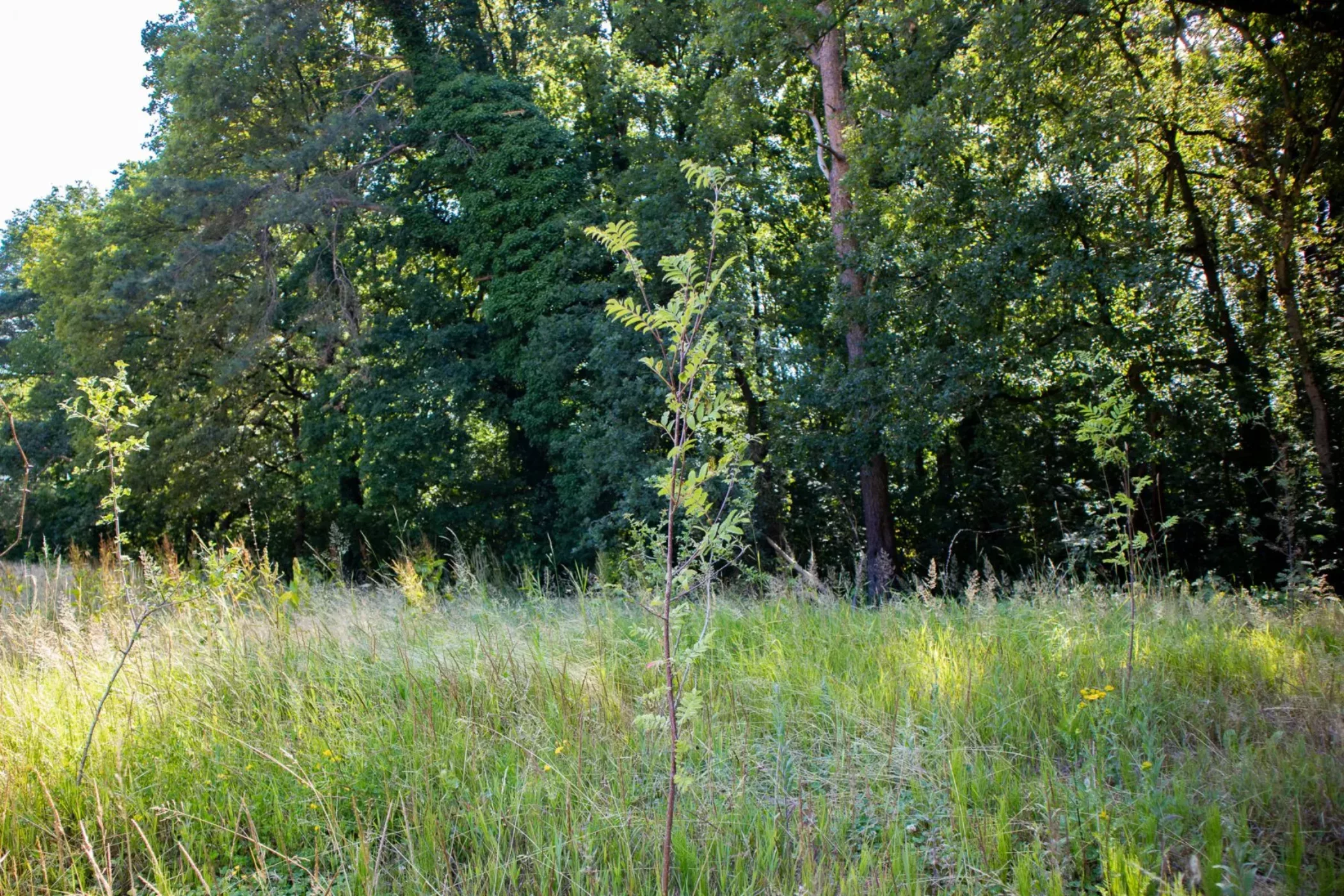 img_4616