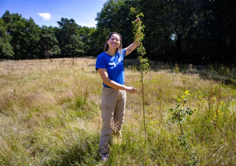 Reforestation in Belgium: very promising, but a challenging start in 2024-2025