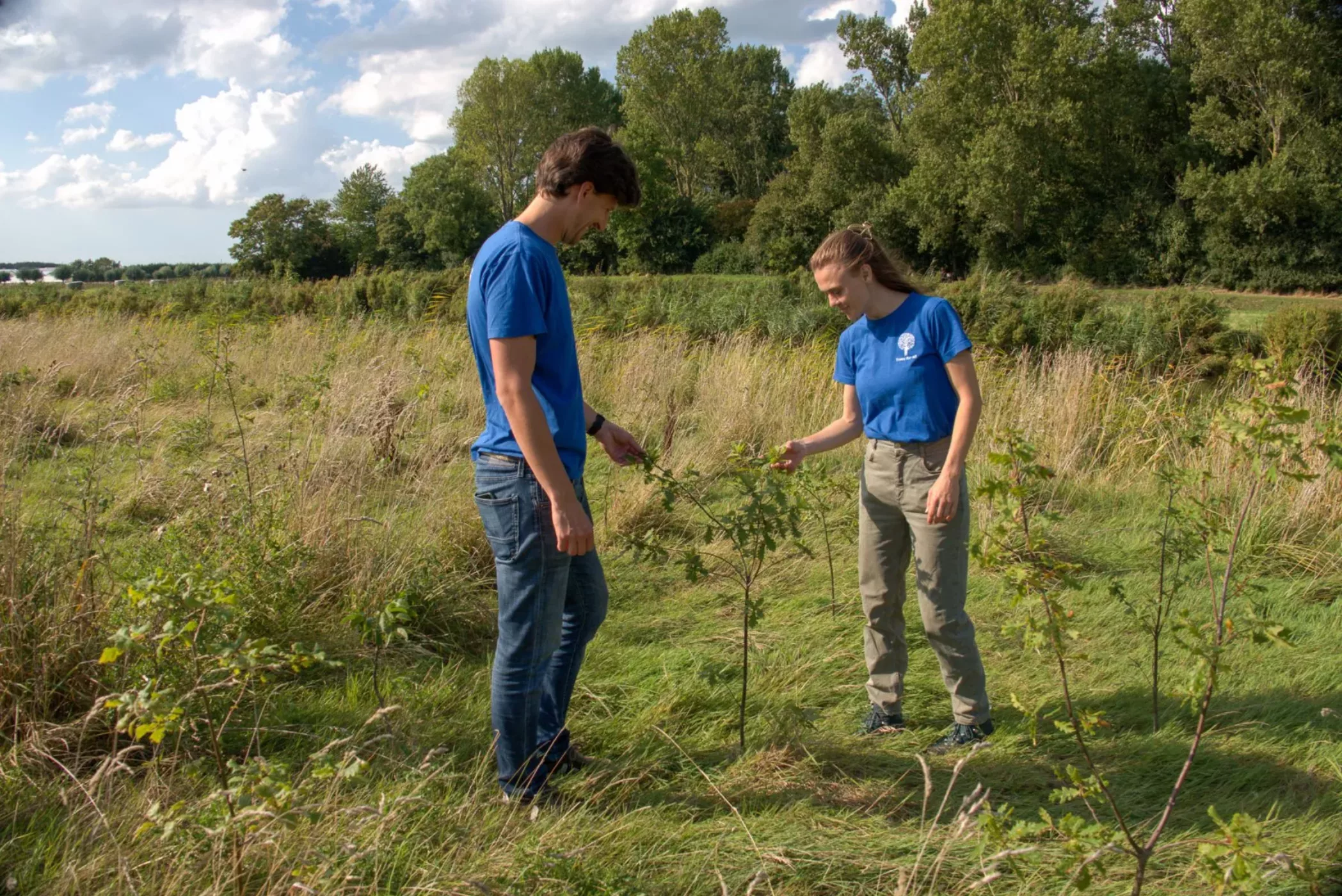 lutjebroek-september-2025-4