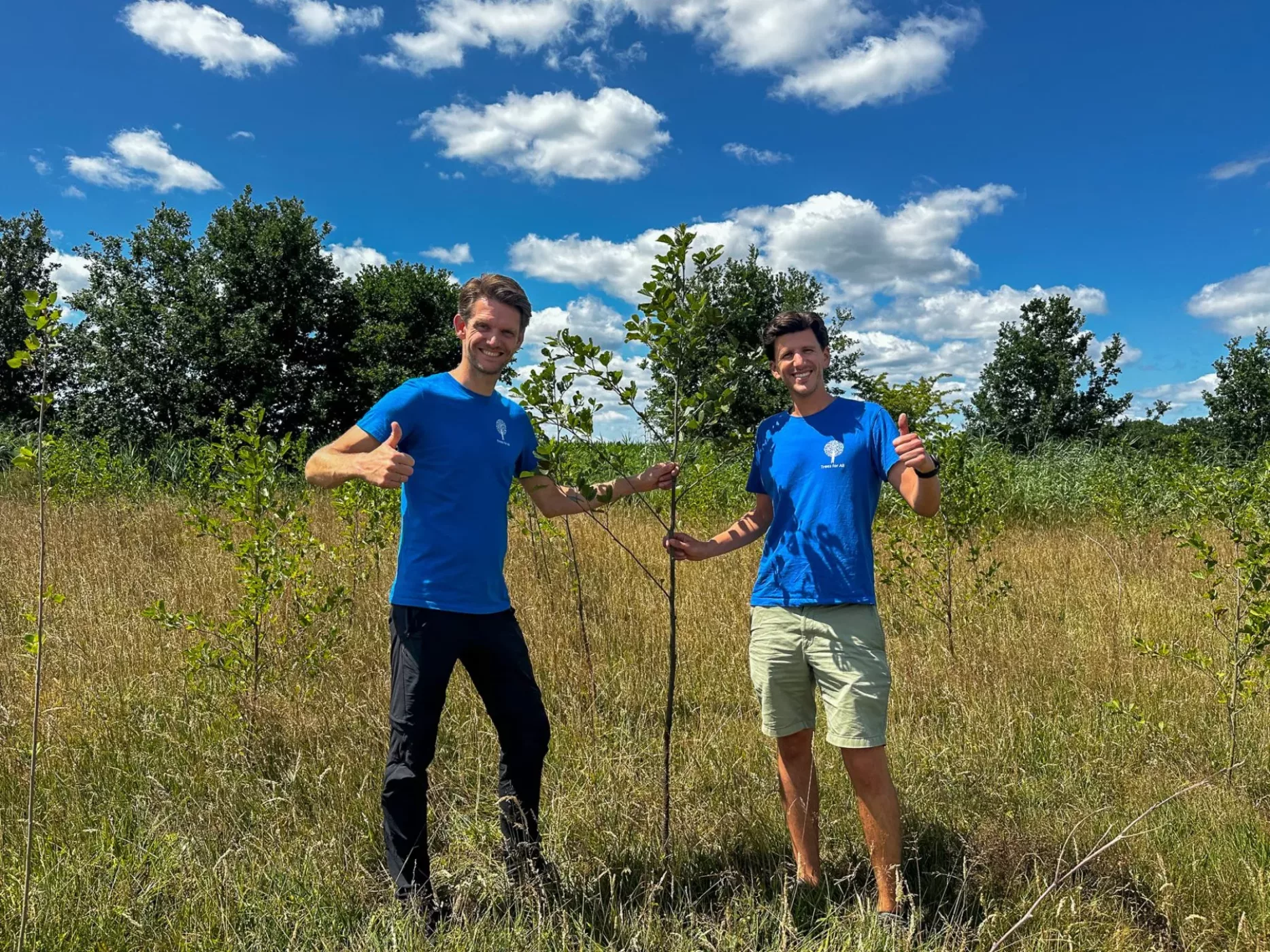 trees-for-all-brabants-landschap-diessen-zomer-2025-1