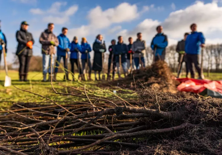 More than 70,000 trees for a greener Overijssel: results for 2024-2025