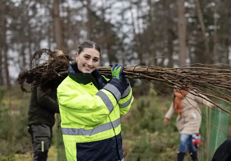Forest restoration in Overijssel: 40,000 new trees for the future