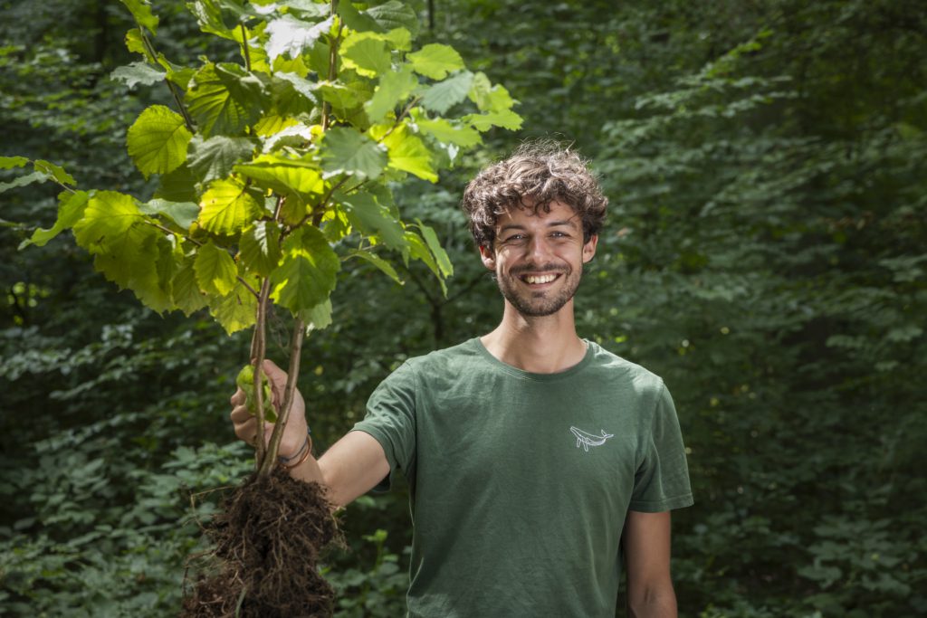 Bomen planten