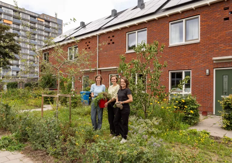 Van dor gras tot levendige stadsoase in Zwolle: zo vergroenen buren hun eigen straat