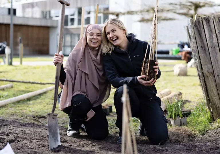 Duizenden mbo’ers betrokken bij vergroening en klimaat: de impact van Trees for Schools