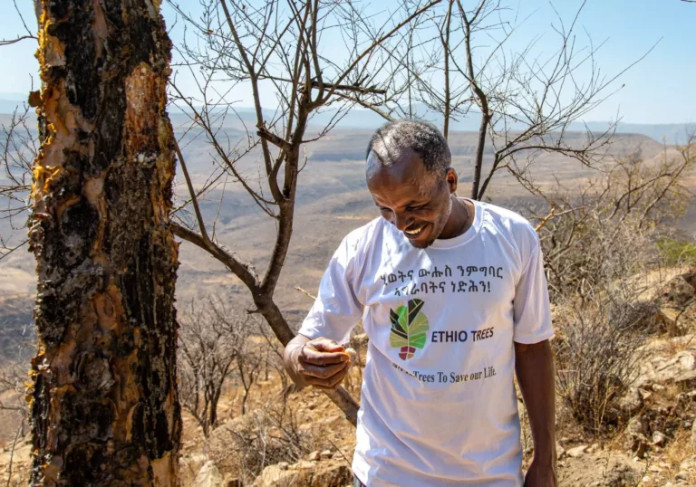 Zonder bomen valt er in Tigray (Ethiopië) niet te overleven: zo maken we een verschil