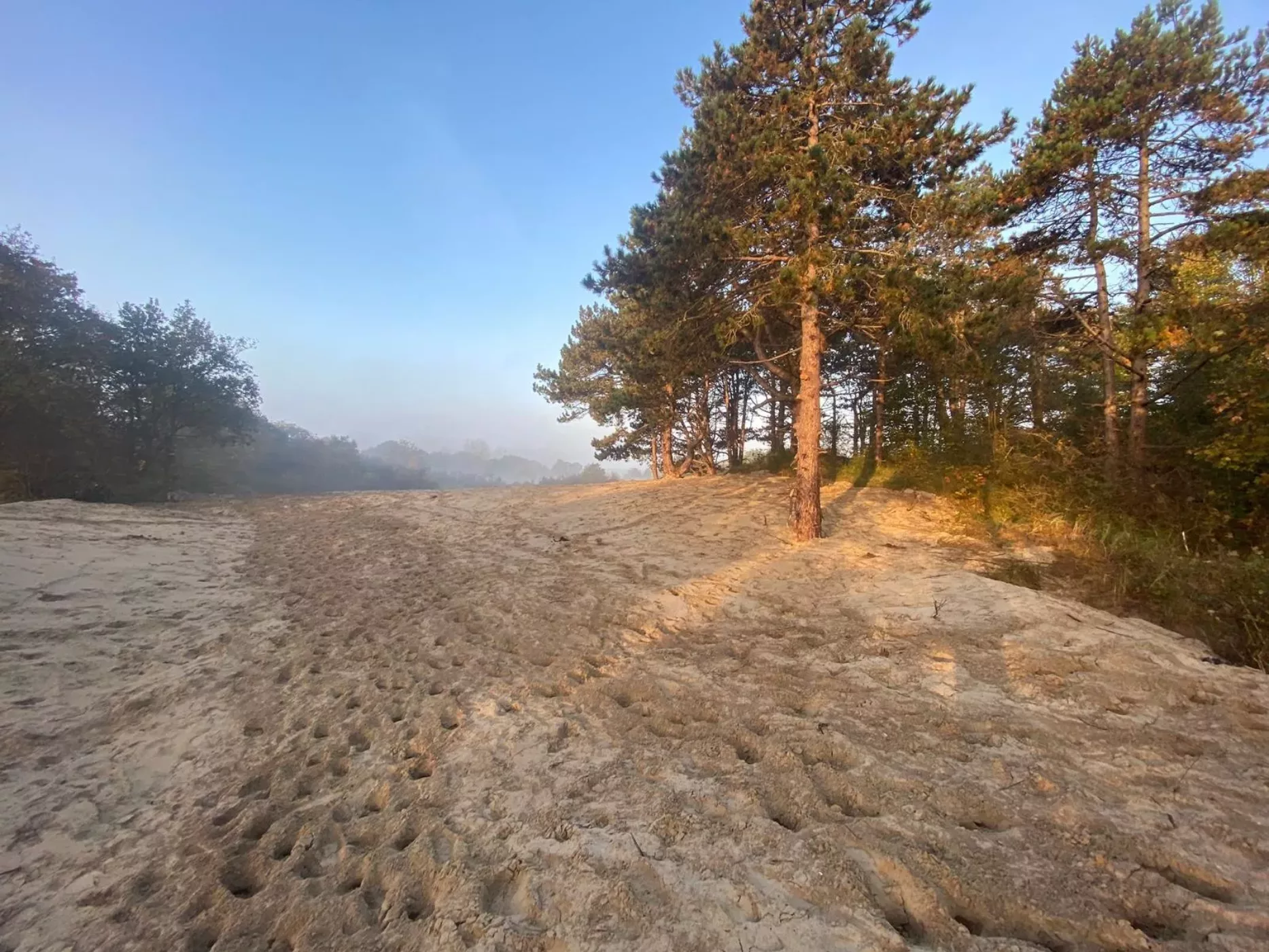 biberbunker-zuid-holland-1