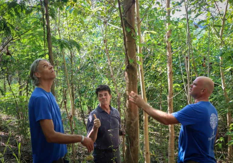 Bosherstel: de uitdaging is niet óf het kan, maar hoe we het groot kunnen maken