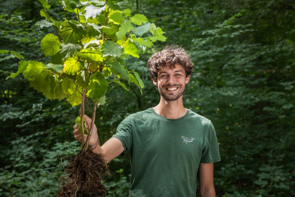 Plant bomen op Green Friday