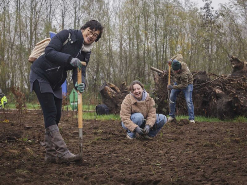 Green Friday Forest event (77)