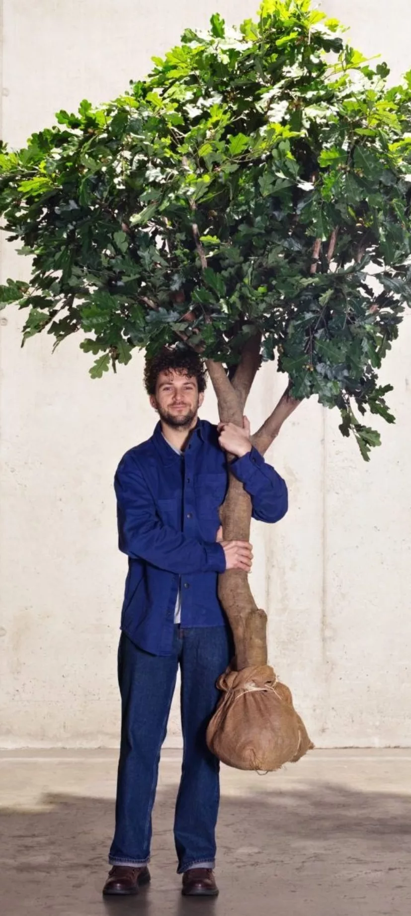 schaduw_trees4all-1192-4