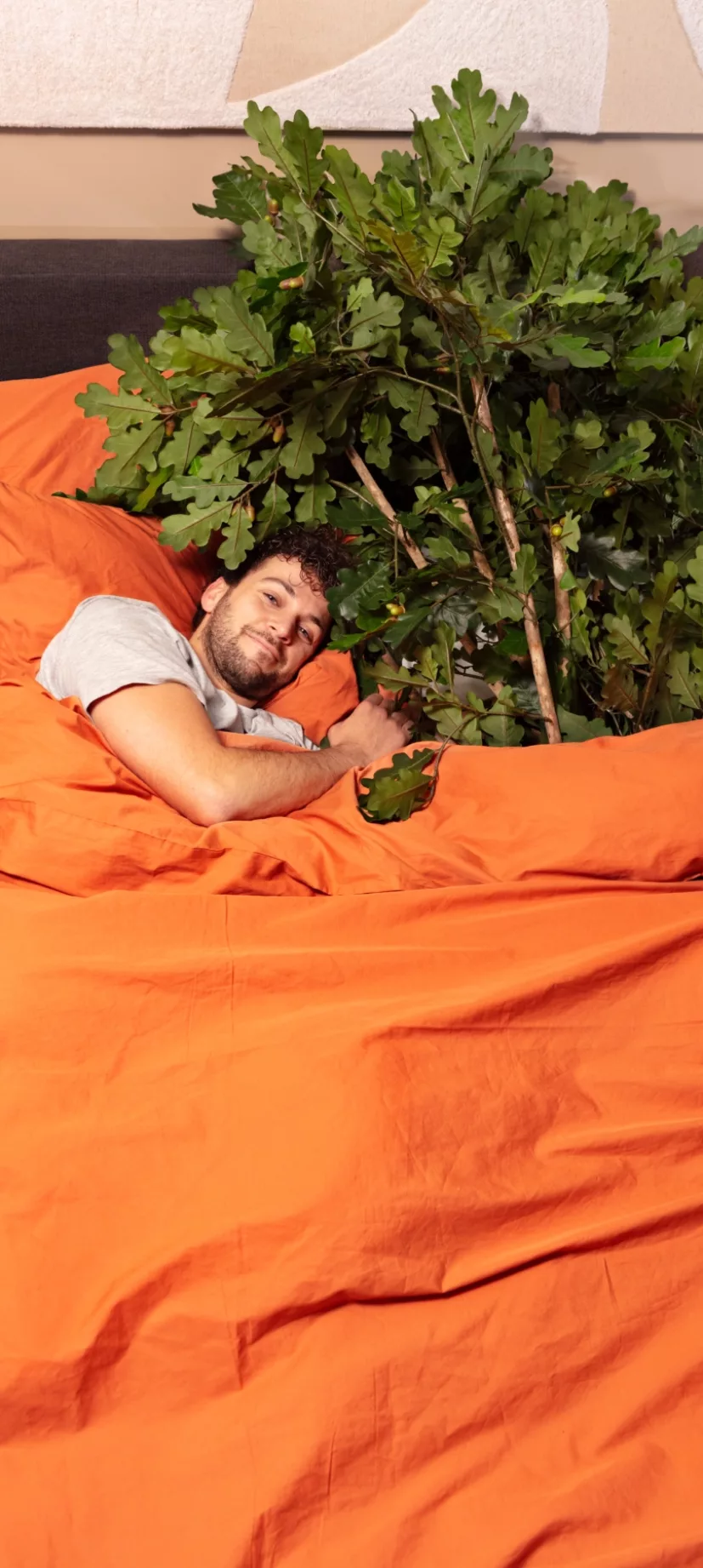 Man ligt in een bed met een boom