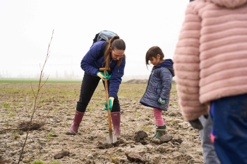 Trees for All_Bonnenpolder_050326 (1)