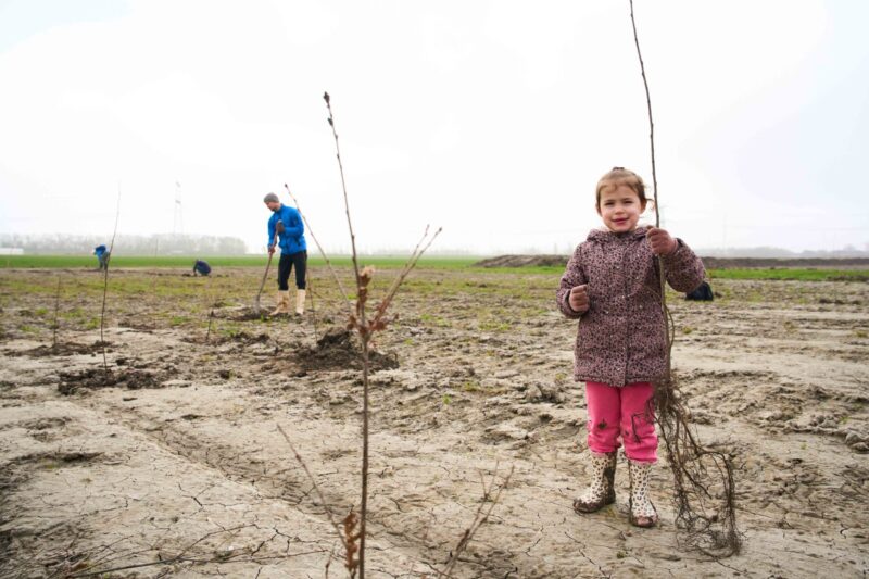 Trees for All_Bonnenpolder_050326 (12)
