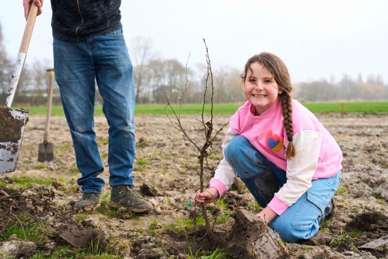 Trees for All_Bonnenpolder_050326 (13)