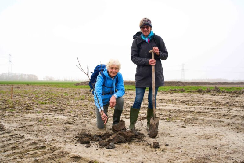 Trees for All_Bonnenpolder_050326 (2)
