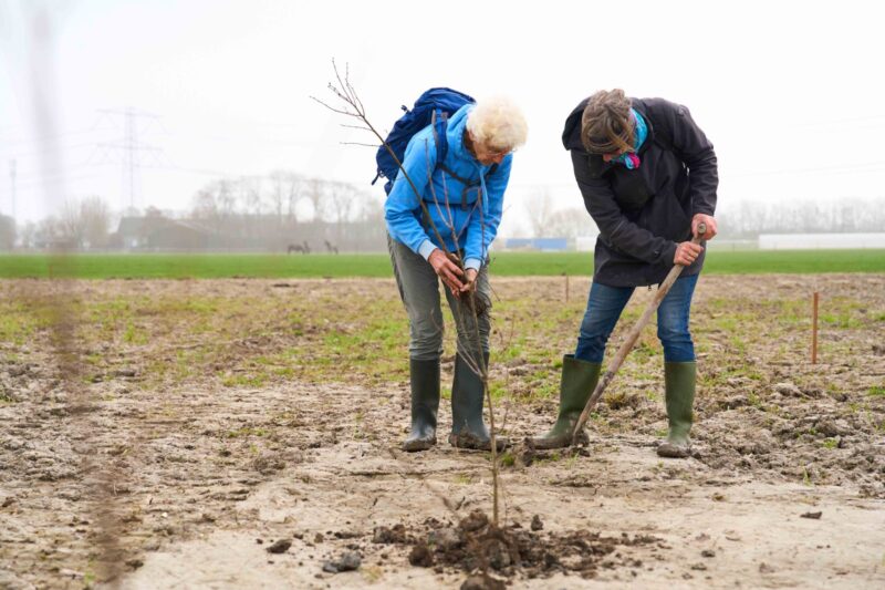 Trees for All_Bonnenpolder_050326 (3)