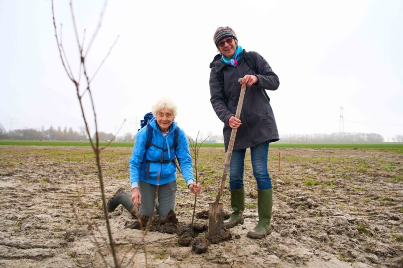 Trees for All_Bonnenpolder_050326 (4)
