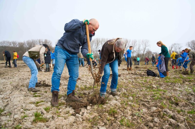 Trees for All_Bonnenpolder_050326 (9)