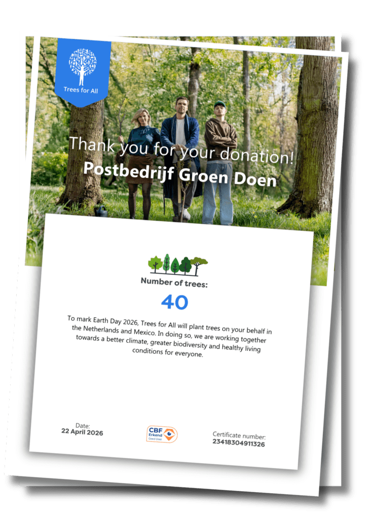 Plant a tree and get a personalised certificate.