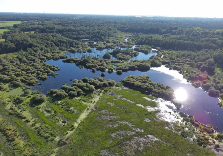 Hoe we biodiversiteit slimmer en betrouwbaarder kunnen meten (en wat dat bedrijven oplevert)