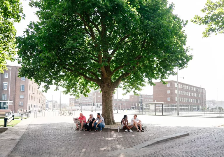 Trees for All zoekt de Heetste Straat van Nederland
