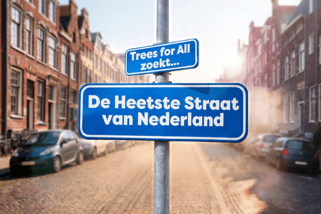 Hoe heet is het in jouw straat?