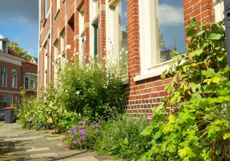 Wees de hitte de baas: vergroen snel de vergeten hoeken van de stad