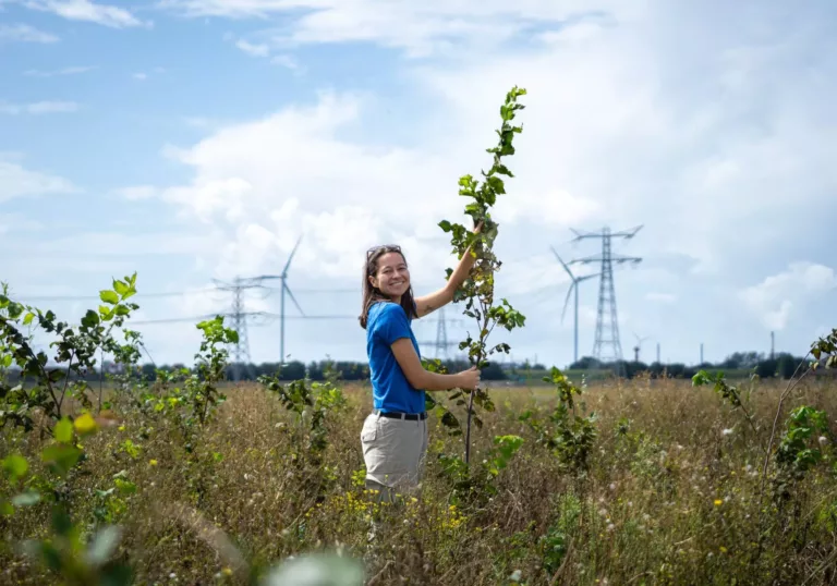 Zo gaat het met de nieuwe bossen in Nederland: resultaten plantseizoen 2025-2026