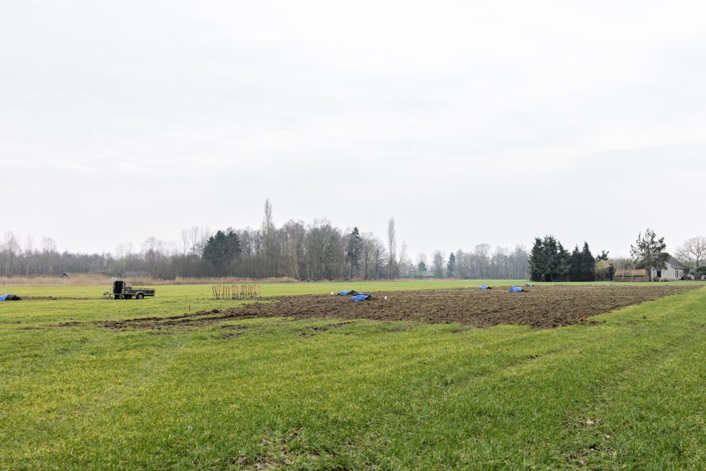 kale-plantlocatie-groene-woud-2026