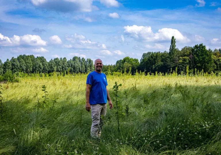 Het Groene Woud groeit verder: meer dan 464.000 bomen geplant 