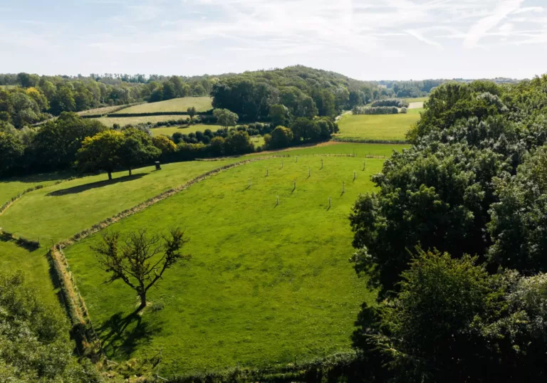 De eikelmuis krijgt weer ruimte in Zuid-Limburg: bijna 69.000 bomen geplant 