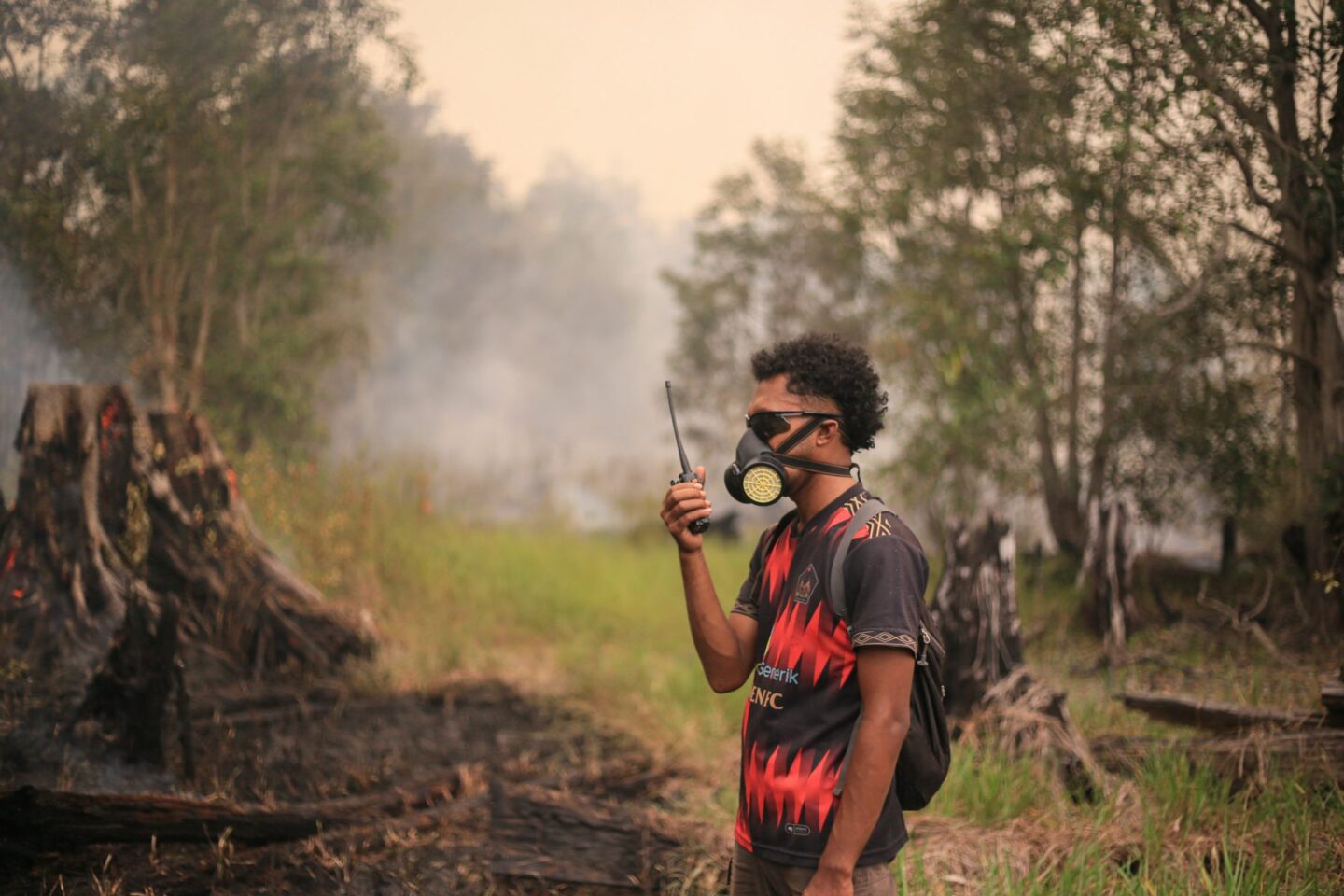 bosbranden-borneo