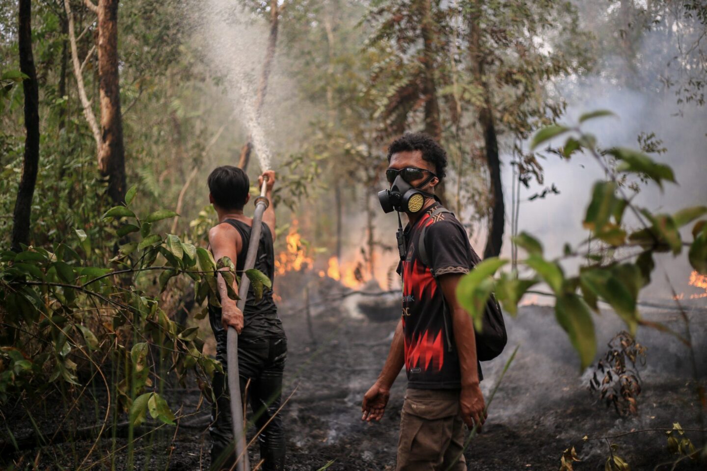bosbranden-borneo-2026