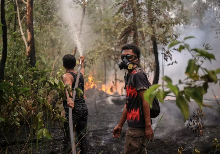 Bosbranden op Borneo: wat er speelt en hoe jij kunt helpen