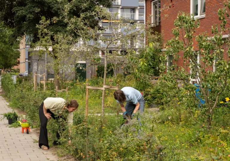 Duidelijke behoefte aan groene steden blijkt uit zoektocht naar hete straten