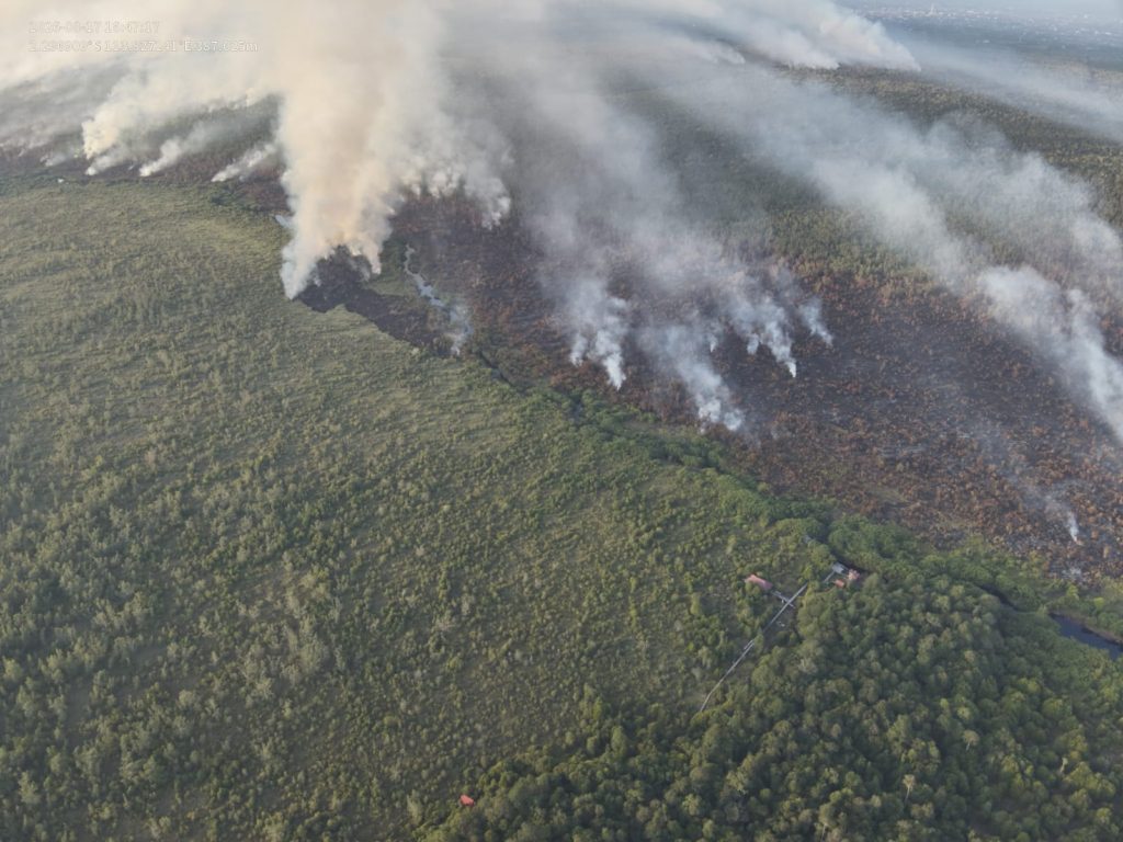 brand-sebangau