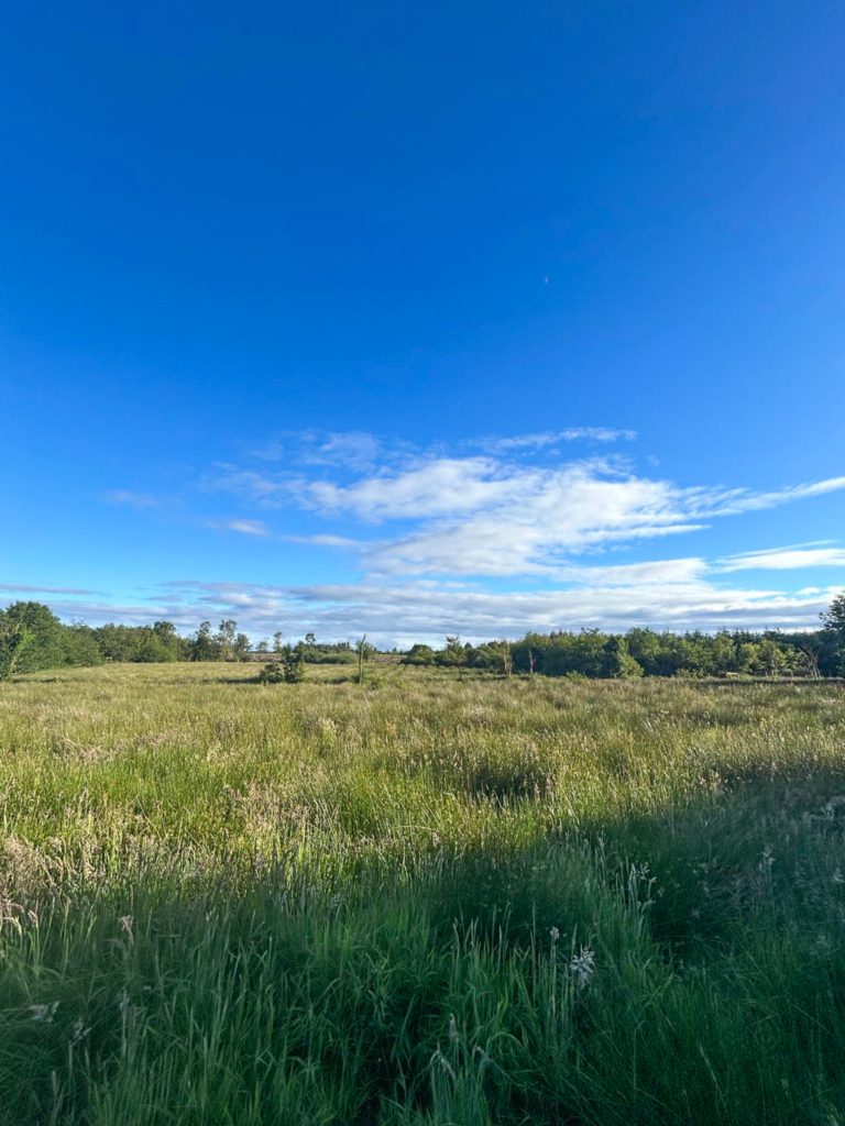 overzicht-plantlocatie-ierland