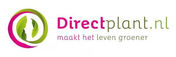 Directplant.nl BV