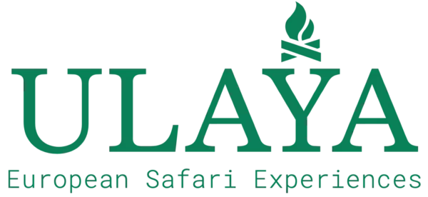 Ulaya Safaris